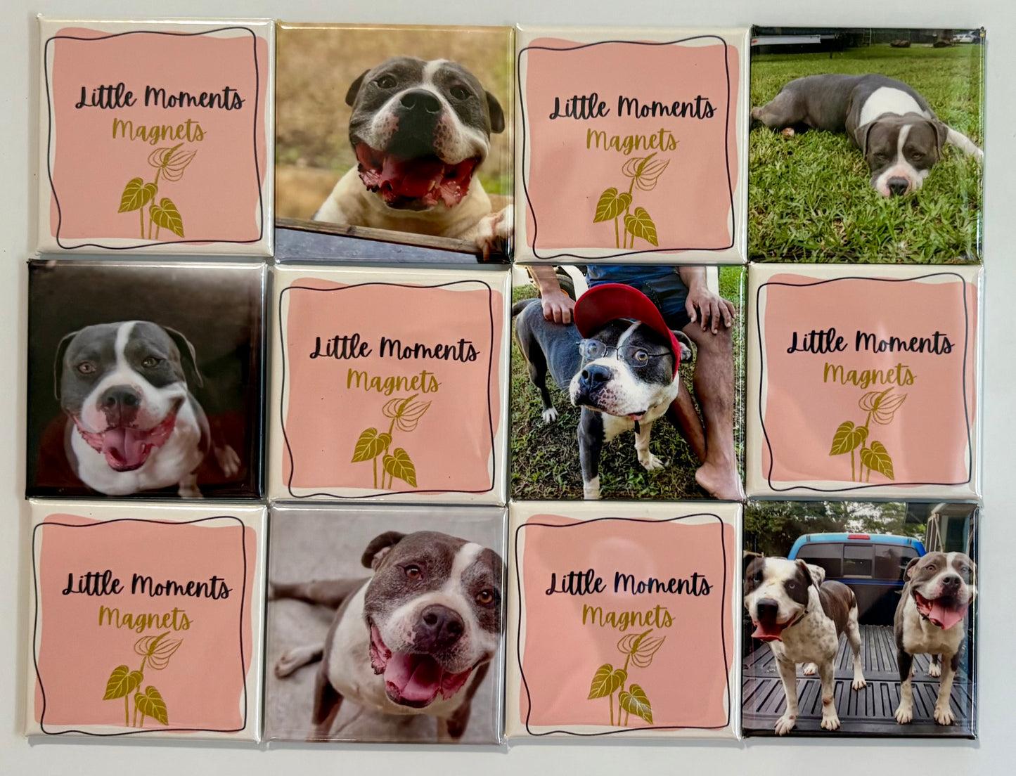 12 Pack Custom Photo Magnet Set 2"x2"
