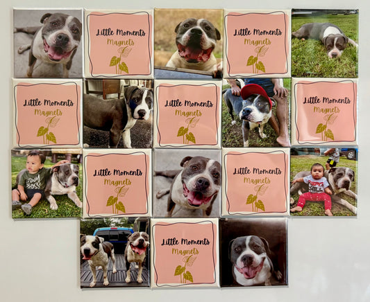 18 Pack Custom Photo Magnet Set 2"x2"