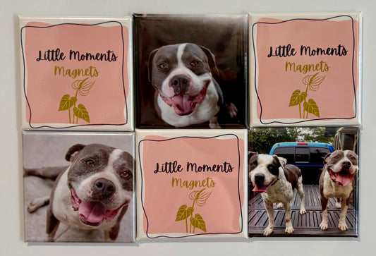 6 Pack Custom Photo Magnet Set 2"x2"
