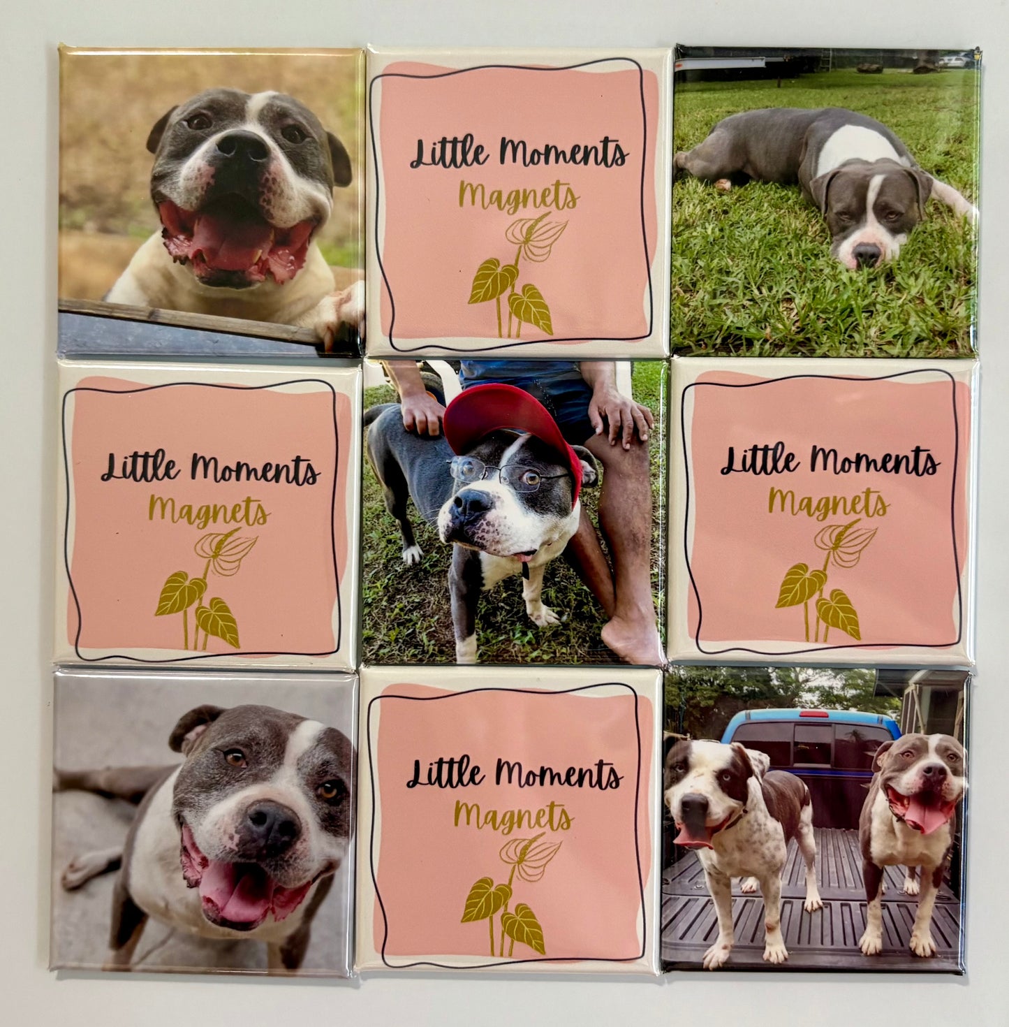 9 Pack Custom Photo Magnet Set 2"x2"