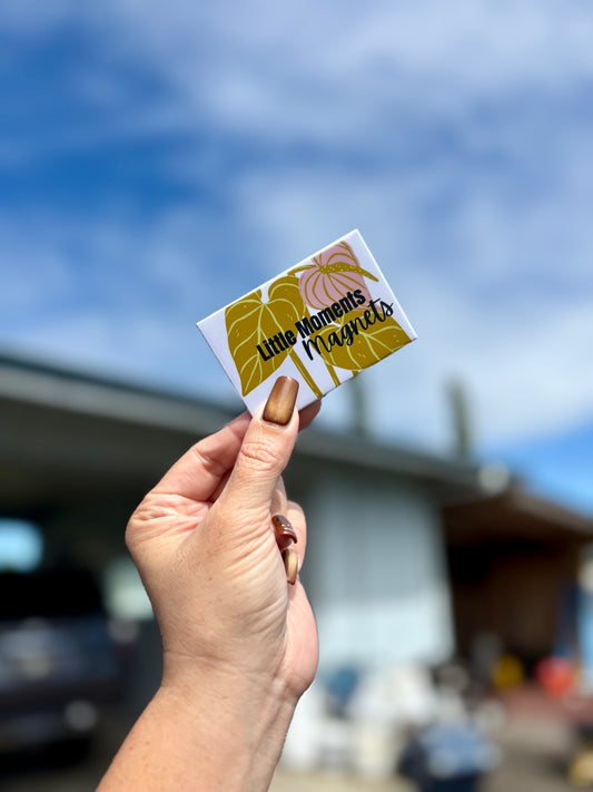 6 Pack Custom Photo Magnet Set 3"x2"