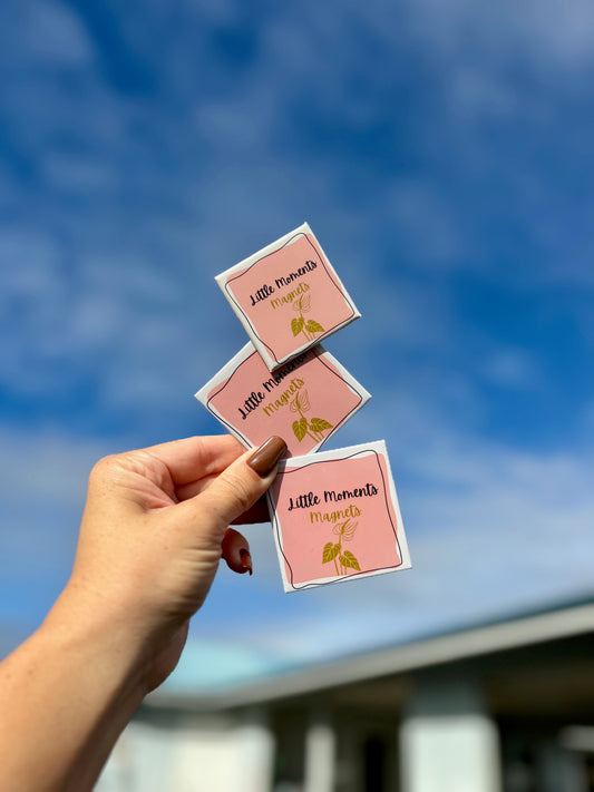 3 Pack Custom Photo Magnet Set 2.5"x2.5"